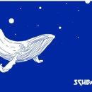 제주스쿠바아로파