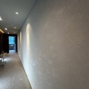 베네치안 | 수원 광교 사무실 포인트 벽 베네치안 스타코 시공 후기