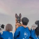 P&M 반려견교육센터 대전점 이미지