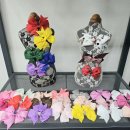 더 도도하개 이미지