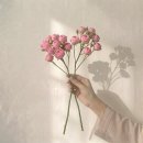 인동17길-2 | 구미 부케말리기│프로포즈 꽃다발 보관, 핑크 장미 액자 제작 후기