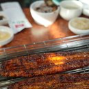 섬진강민물장어 이미지