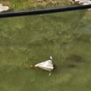 마고실쉼터(두꺼비다리) | 철원 가볼만한곳 추천 철원 한탄강 주상절리길 코스 매표소 준비물 셔틀버스 주차 후기