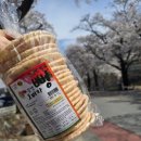 진남역 앞 이미지