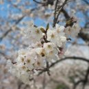 동해 구상수시설 이미지