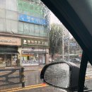 예지수선