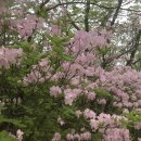 가곡1리 이미지