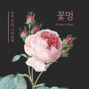 하루에 멍 이미지