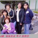 운담초교 이미지