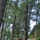 한반도면사무소 이미지