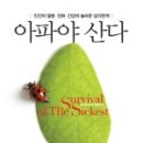 샤론장 이미지