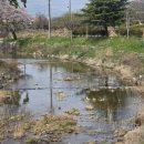 죽정회관 이미지