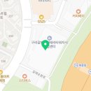 비트랩스자동차랩핑