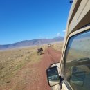 세레나몰 이미지