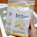 지리산사람들(지리산민들레) 이미지