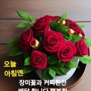 신용의료기상사 Daum카페