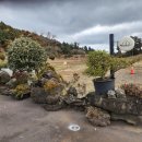 알밤오름하우스 이미지