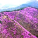 진달래횟집 이미지