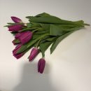 풍선아트로 만드는 나만의 튤립 꽃다발 | 생화 위탁 판매/튤립 공구 /나만 아는 행복과 후기