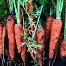 당근수퍼 이미지