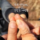 더따숨 이벤트걷기 (1월7~8일) - 봉화산타마을&영덕블루로드 이미지