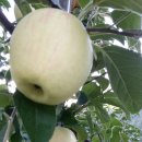 성옥농장 이미지