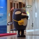 [🐳 BIPC 2024 행사 현장 참여 후기 및 서포터즈 활동 후기]