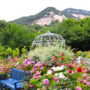 장미정원 이미지