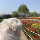 승기천 신연수역 이미지