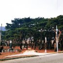 용산숲 입구 이미지