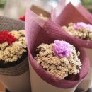 Flower늘봄 이미지