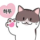 하늘보세