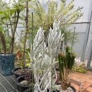 우각농장 이미지