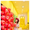 폴-리딩 이미지