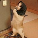 마라도회집 이미지