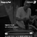 펫나라 이미지