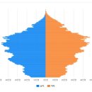 2020년 대한민국 인구 피라미드 근황.jpg 이미지