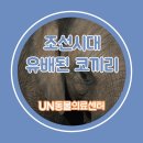 태종동물병원 이미지