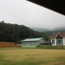 호반애견훈련소 이미지