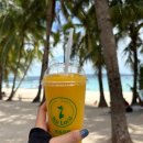 블랙펄호텔 | 호핑투어 업체 추천 / 보라카이션 / 블랙펄 선셋 호핑투어 후기 / 보라스파 / 레드 코코넛 / Epic bar...