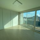 가재월리 이미지