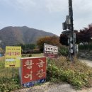 강가의 추억 이미지