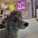 썸데이제로 이미지