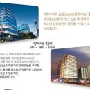 팔레드시즈 이미지