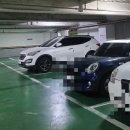 짜장백개 이미지