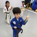 국가대표 라온태권도장 이미지