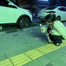 덴테크 | 8月, 자꾸 먹기만 하면 어떡하냐고..