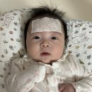 달콤떡 | 🌸유하 백일떡 후기 — 광명역 달콤꽃시루