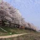 발안천 산책로 이미지