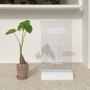 콘크로프트 | 내스타일 콘크로프트